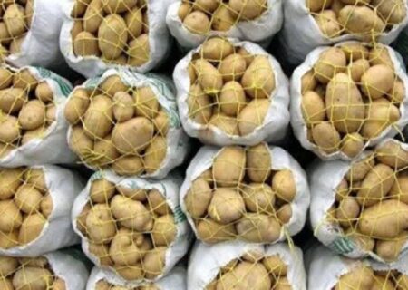 صادرات تخم‌مرغ، سیب‌زمینی، گوجه‌فرنگی و خرما ممنوع شد