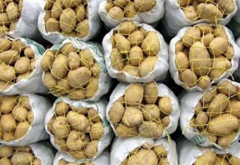 صادرات تخم‌مرغ، سیب‌زمینی، گوجه‌فرنگی و خرما ممنوع شد