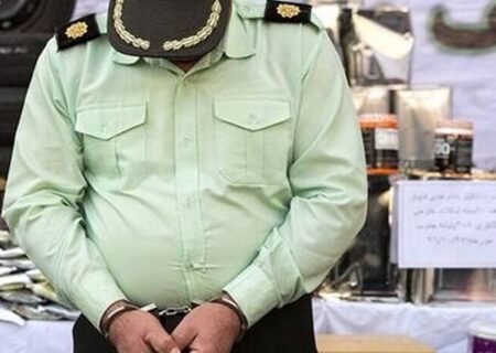 دستگیری سارقان حرفه‌ای و پایان سرقت از خودروها و اخاذی با لباس مأمور