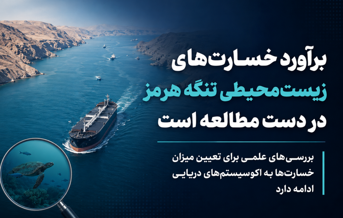 برآورد خسارت‌های زیست‌محیطی تنگه هرمز در دست بررسی است