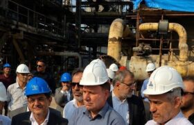 وزیر اقتصاد :سیاست دولت تسهیل فعالیت های اقتصادی در پارس جنوبی است