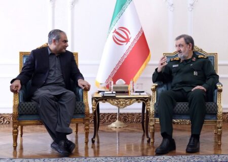 ایران و پاکستان عقبه راهبردی یکدیگرند/ علاقه دو کشور حقیقی و اعتقادی است