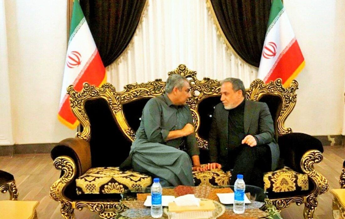 گفت وگوی عراقچی با وزیر کشور پاکستان در فرودگاه مشهد