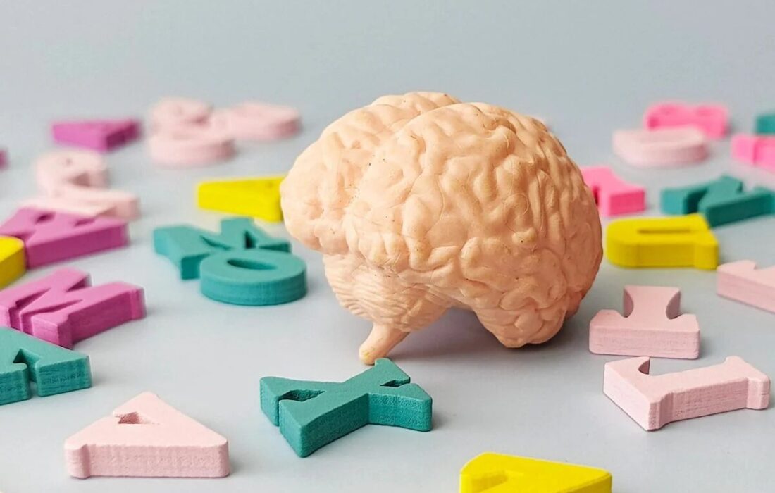 یادگیری زبان؛ راهکاری ساده برای به تأخیر انداختن پیری مغز