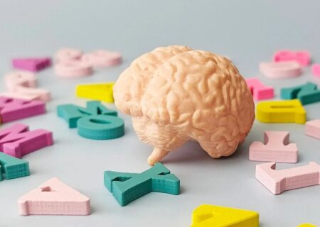 یادگیری زبان؛ راهکاری ساده برای به تأخیر انداختن پیری مغز