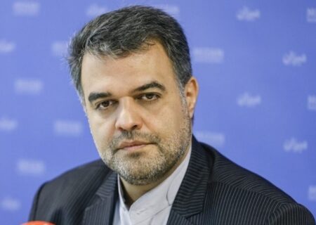 سخنگوی قوه قضاییه: هماهنگی قوا ضرورتی انکارناپذیر برای عبور عزتمندانه از چالش‌هاست