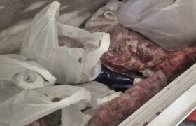 کشف چهار تن گوشت فاسد از کارگاه غیرمجاز در باغستان شهریار
