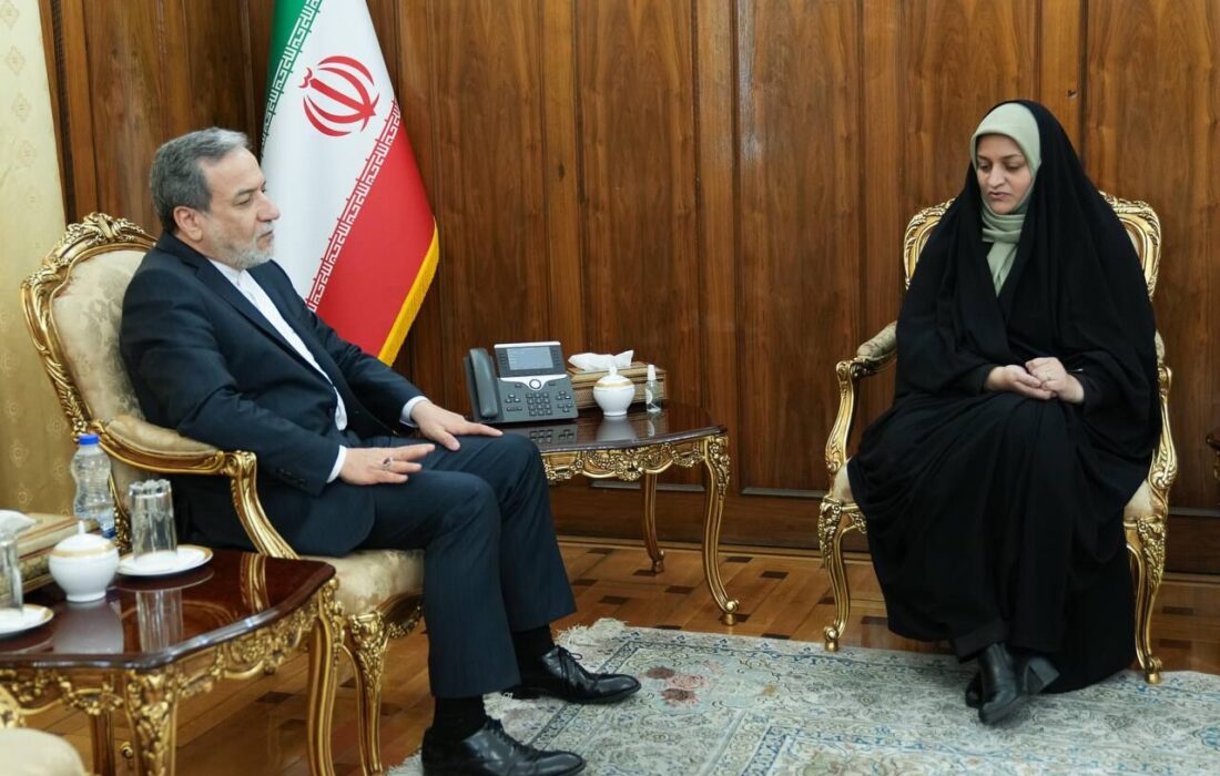 سرکنسول جدید جمهوری اسلامی ایران در آلماتی با عراقچی دیدار کرد