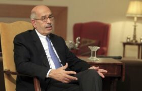 البرادعی از وزیر خارجه آلمان خواست بیشتر با حقوق بینالملل آشنا شود