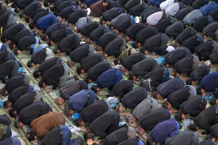 نماز ظهر عاشورا در انگورستان ملک؛ حماسهای از ایمان و ارادت
