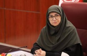 انصاری: «صلح و امنیت» پیش‌شرط حفاظت از محیط‌زیست و اجرای تعهدات بین‌المللی است