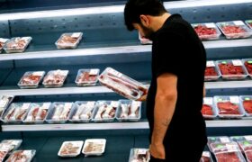 واردات ۱۴ هزار تن گوشت منجمد/ کاهش وابستگی صنعت دام به نهاده‌ های وارداتی