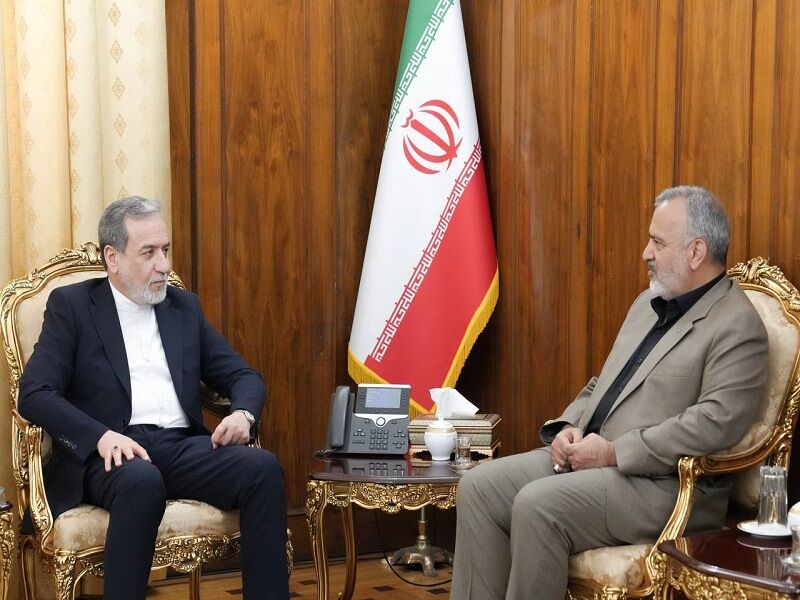وزارت امور خارجه از مسائل کنسولی و دیپلماتیک زائران حمایت میکند