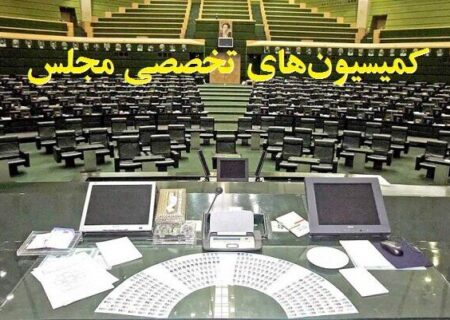 تعیین اعضای هیأت رئیسه کمیسیون‌های تخصصی/ روسا ابقا شدند