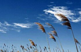 آسمان صاف در اغلب مناطق کشور