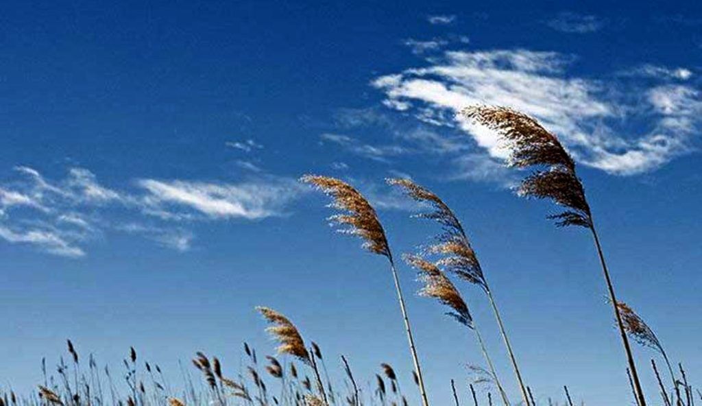 آسمان صاف در اغلب مناطق کشور