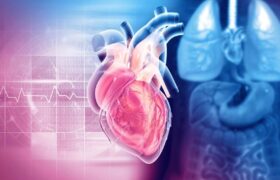 الماسی کوچکتر از دانه برنج؛ حسگری تازه برای پایش دقیق قلب