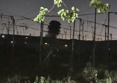 تجاوز جدید رژیم صهیونیستی به خاک لبنان