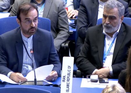 نجفی:ممانعت از حضور رئیس سازمان انرژی اتمی در کنفرانس عمومی آژانس،نقض آشکار حقوق ایران است