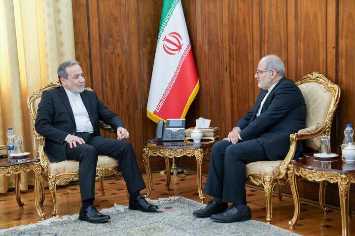 تاکید عراقچی بر بهره‌گیری از همه ظرفیت‌های دیپلماسی جهت صیانت از منافع ملی