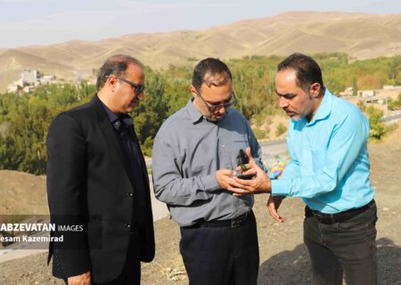 بررسی راهکارهای اجرای طرح گردشگری روستای سعیدآباد
