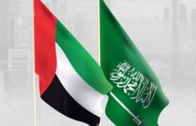 هشدار مقام اماراتی درباره تلاش‌ها برای ایجاد تفرقه میان عربستان و امارات