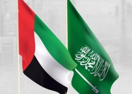 هشدار مقام اماراتی درباره تلاش‌ها برای ایجاد تفرقه میان عربستان و امارات