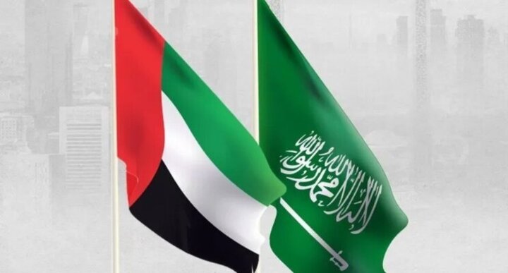 هشدار مقام اماراتی درباره تلاشها برای ایجاد تفرقه میان عربستان و امارات