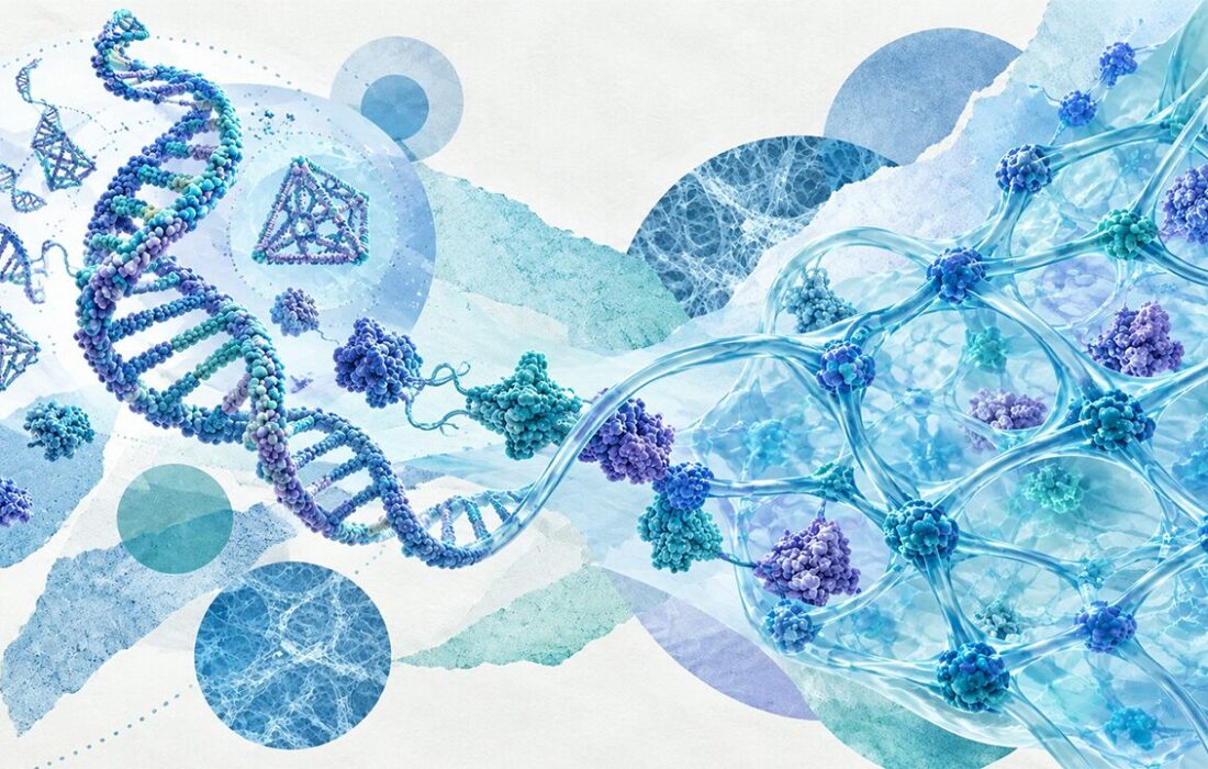 حرکت از مقیاس نانو به شبکههای هوشمند با هیدروژلهای DNA–پروتئین