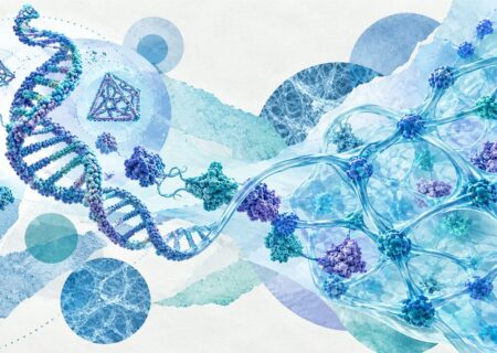 حرکت از مقیاس نانو به شبکه‌های هوشمند با هیدروژل‌های DNA–پروتئین