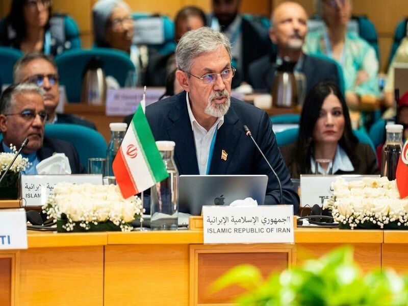 سلامت نباید ابزار فشار سیاسی باشد/ دریافت جایزه کنترل سرطان توسط پروفسور «امیرعلی حمیدیه»