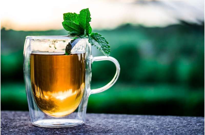 چای، ورزش و ترک سیگار؛ نسخه سلامت قلب